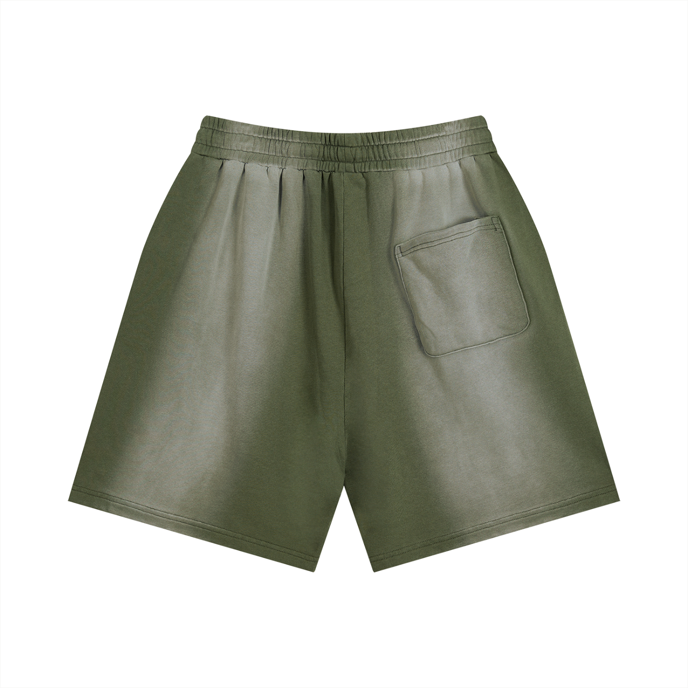 Faded Distressed Shorts
